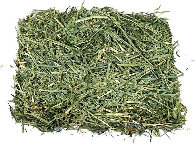 Oat Hay for Rabbits & Small Pets (7 lbs)