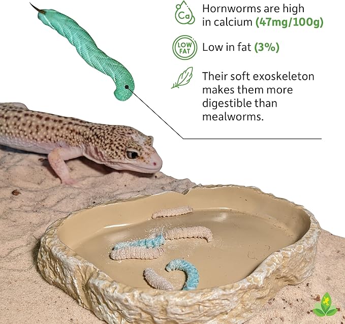 Josh's Frogs Hornworms Habitat Cup (12 Count Cup)