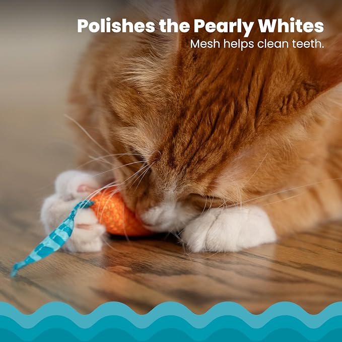 Catstages Catnip Chew Mice 2 Pack?€? Interactive Dental Cat Chew Toy that Helps Clean Teeth, Mouse, Multicolored - Image 3