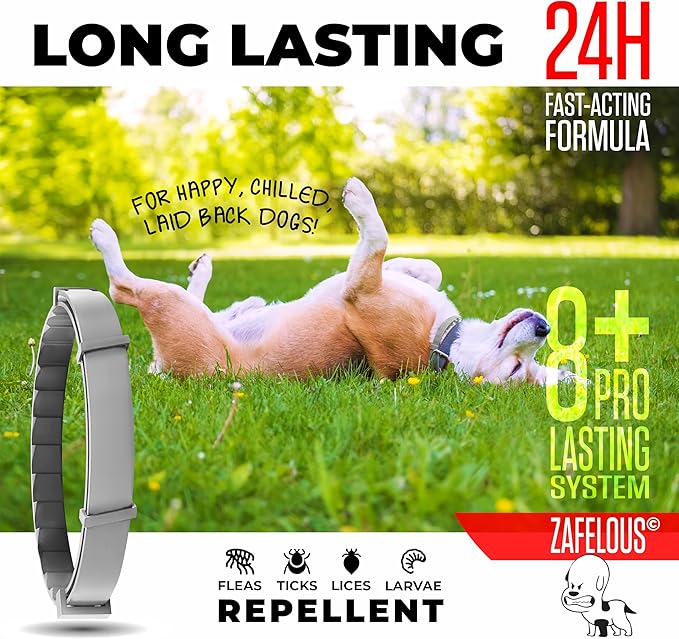Flea and Tick Prevention for Dogs - Flea Collar - 2 Count - Adjustable