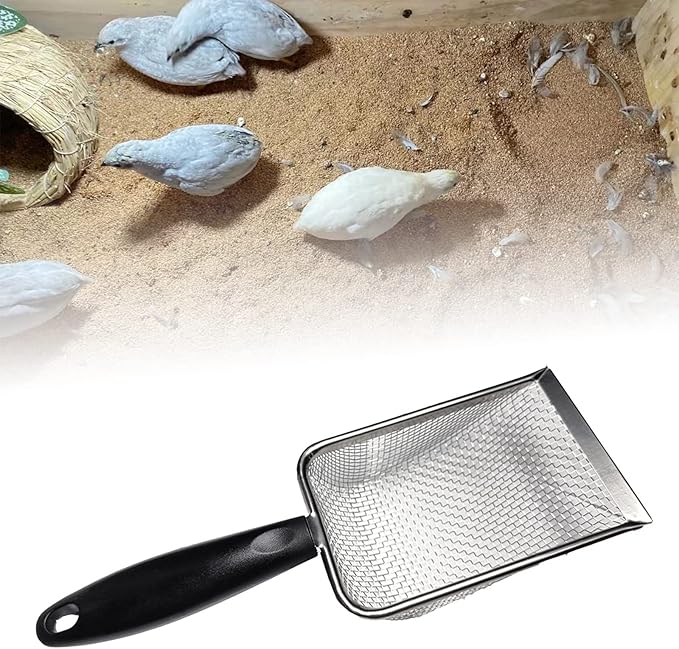 Reptiles Sand Scooper Stainless Steel Fine Mesh Terrarium Substrates Litter Substrates Scoops Scooper