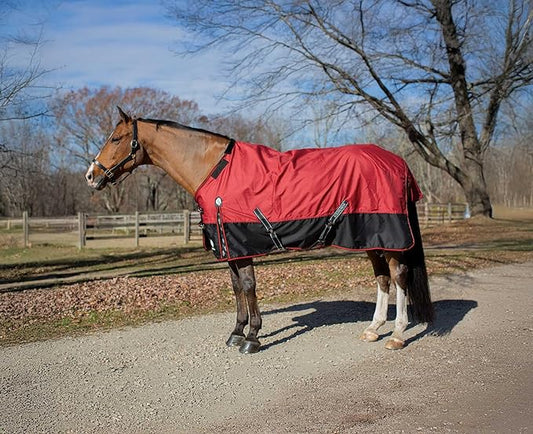 Equinavia Norse Lightweight 100g Fill Horse Rain Blanket | Waterproof Turnout Sheet - Black - 66 in - Equestrian Red - 78 in