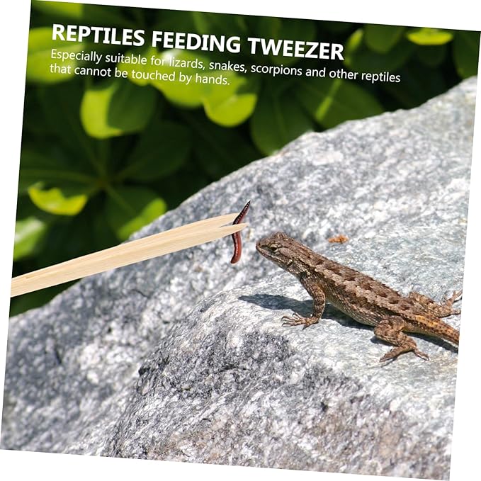 Garneck Bamboo Reptile Tweezer Pet Feeding Tool for Lizards Turtles Small Reptiles