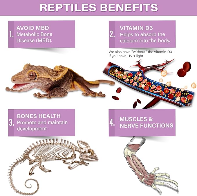 Gargeer 4oz Gecko Calcium without Vitamin D3, Phosphorus-free, Ultrafine Powder. Ready to Use Supplement for Geckos & Fruit-Eating Reptiles. Flavored with Real Organic Tropical Fruits. Made in the USA