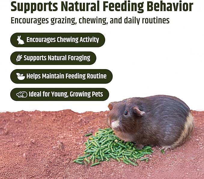 High Desert Delight Alfalfa Pellets, Protein Rich Small Animal Food for Young Rabbits Guinea Pigs and Small Pets, Natural Fiber Alfalfa Hay Pellets for Digestive Health, Fresh Hand Packed 63 oz Bag