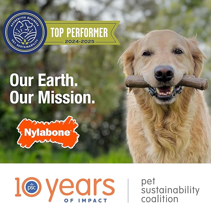 Nylabone Nubz Natural Dog Chew Treats for Large Dogs, Long Lasting Dog Chew Bones Made in the USA, Chicken Flavor Breath Freshener Dental Chews, Large Dog Bones For Dogs Over 30 lbs. (18 Count)
