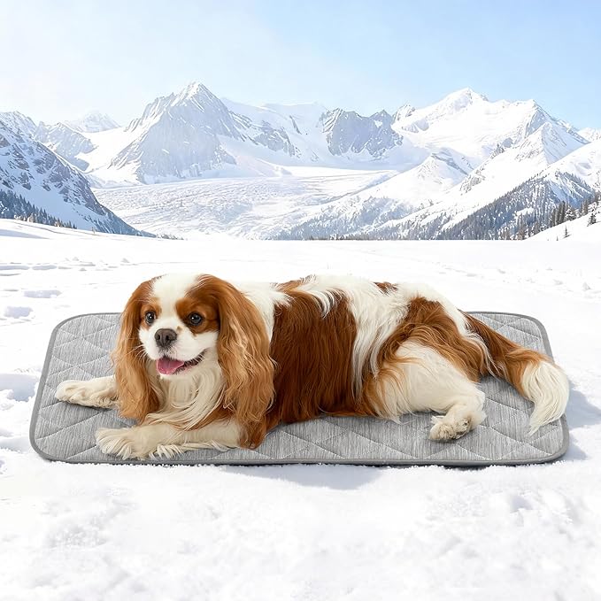 COZY KISS Dog Cooling Mat 20"x30" Q-Max>0.4, Waterproof Pet Bed Cover, Non-Slip Dog Bed Mat, Washable Cooling Pad for Small Dogs, Cats, Crate, Couch, Furniture Protector (Gray)