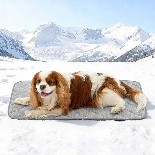 COZY KISS Dog Cooling Mat 20"x30" Q-Max>0.4, Waterproof Pet Bed Cover, Non-Slip Dog Bed Mat, Washable Cooling Pad for Small Dogs, Cats, Crate, Couch, Furniture Protector (Gray)