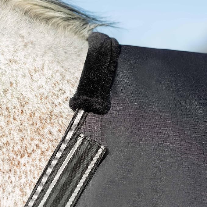 Equinavia Norse Lightweight 100g Fill Horse Rain Blanket | Waterproof Turnout Sheet - Black - 66 in - Black - 78 in