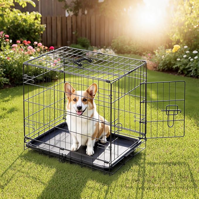 DUMOS Dog Crate, 24 Inch Small Single Door Dog Cage with Plastic Leak-Proof Pan Tray, Folding Metal Wire Pet Kennel for Indoor, Outdoor, Travel