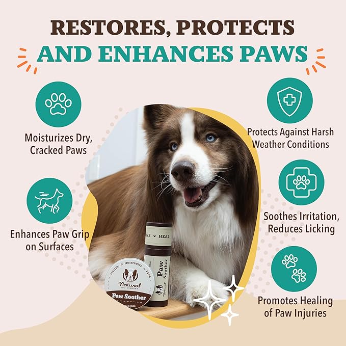 Natural Dog Company Paw Soother Balm & Wax - Dog Paw Balm & Moisturizer for Dry, Cracked Paw Pads, Helps Moisturize & Condition Worn Paws, Coconut Oil & Calendula, Daily Paw Care, 2 oz Stick
