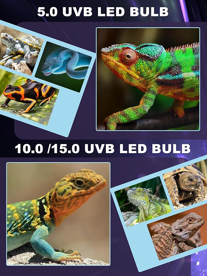 LED UVB Light for Reptiles, 5W 10.0 LED UVB Lamp, Reptile UVB Bulb for Bearded Dragon Lizard Gecko Snake Turtle, Provide Sufficient UVB Exposure Tropical & Desert Reptiles