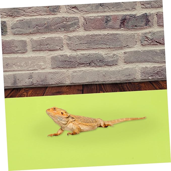 LIOOBO Gecko Tank Mat Reptile Habitat Mat Reptile Substrate Lizard Carpet Tank Bedding