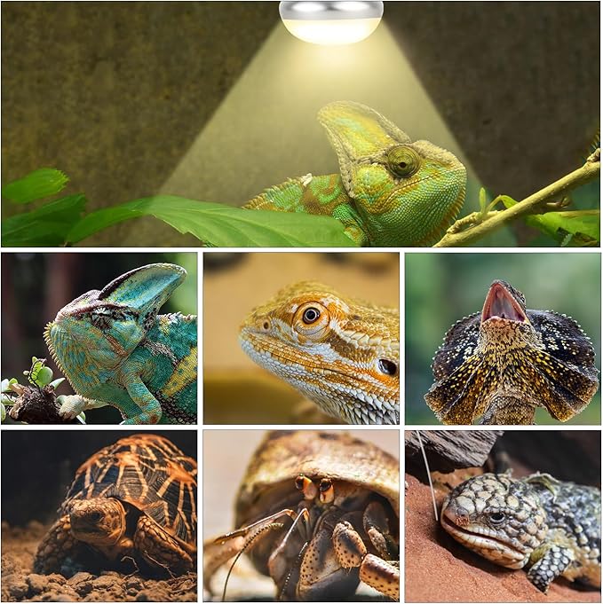 Oiibo Reptile Heat Lamp Blub, 2Pack 75W Day & Night Reptile Heat Lamp,UVA Daylight Heat Basking Bulbs Infrared Heats Light Bulb for Reptiles Bearded Dragon Lizard Turtle