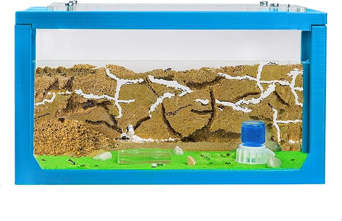 Anthouse.ES - 3D Aquarium-Style Natural Ant Farm - Sand Ant Farm - Complete Kit with Sand and Accessories - Starter Model 20x10x10 cm - Light Blue Color