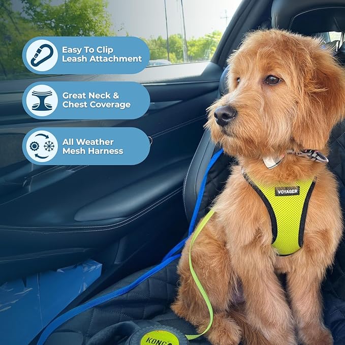 Best Pet Supplies Voyager Step-in Air All Weather Mesh Harness and Reflective Dog 5ft Leash Combo with Neoprene Handle, for Small, Medium and Large Breed Puppies - Set (Lime/Black Trim), X-Large