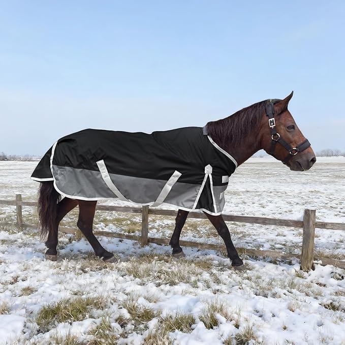 Winter Blanket for Mini Horse, Pony, Donkey, Llama, Alpaca, Small Equine- 220g Filled Medium Weight Winter Horse Blanket - 1200D Water Resistant (55‘’)