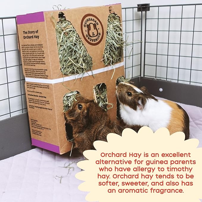 GuineaDad Orchard Hay Box – 3 Pack Guinea Pig Food – Cage-Mounted Feeding System – Orchard Hay for Guinea Pigs, Rabbits & Small Animals – 100% Recyclable & Biodegradable