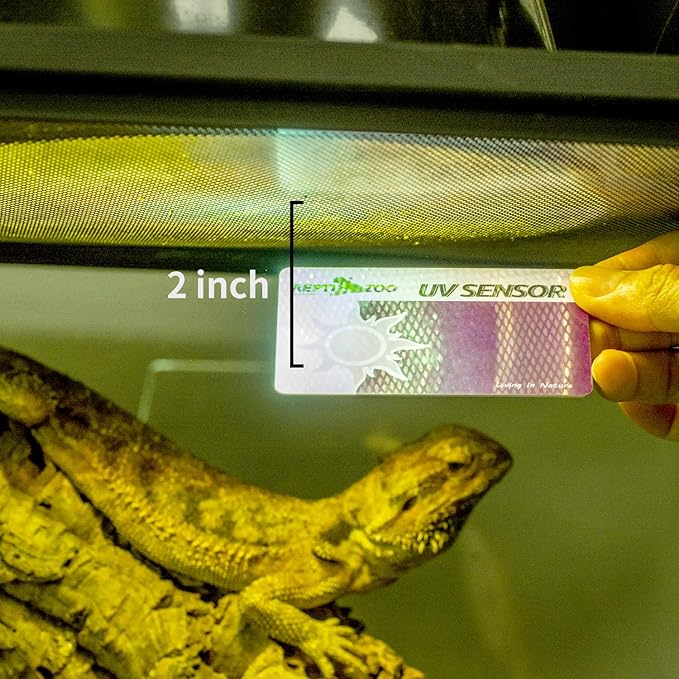 REPTI ZOO UVB Tester Reptile Lamp UV Sensor Reptile UVB Fluorescent Lamp Tester Card, Set of 2