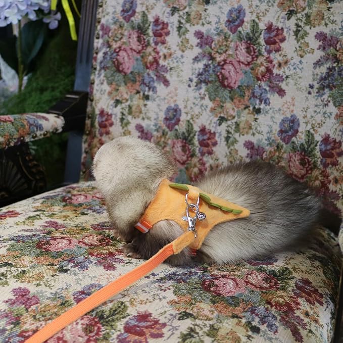 Bearded Dragon Harness and Leash Set - Soft Fleece Dinosaur Vest with Safe Bell Adjustable Lizard Traction Rope Escape Proof Outdoor Walking Training Leash for Ferret Rat Kitten Puppy (Orange)
