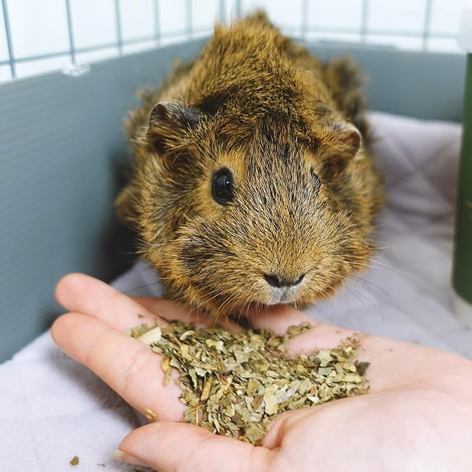 GuineaDad Organic Treat Sampler - Guinea Pig Herbal Treats - Guinea Pig Food in 6 Flavors - 6 Pack - Guinea Pig Treats Help with Bonding - High in Nutrition, No Preservatives, No Additives