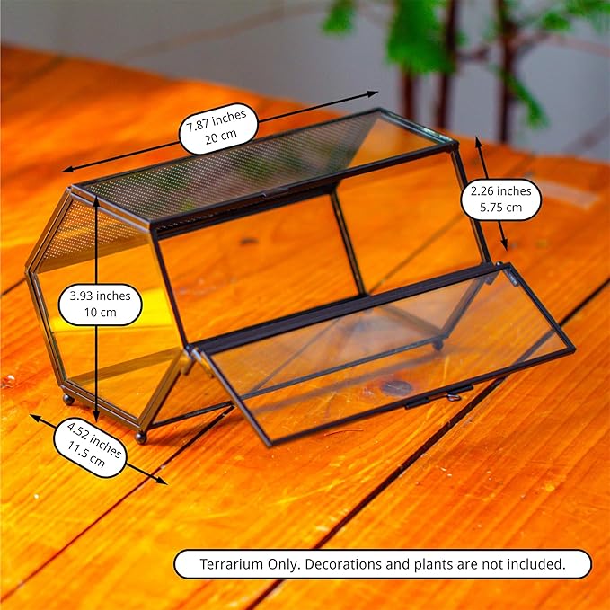 NCYP Small Glass Enclosure Terrarium with Mesh & Door for Tiny Beetle - Hexagon Jumping Spiders Vented Glass Terrarium 7.87'' x 4.52'' x 3.93'', Black (Plants Not Include)