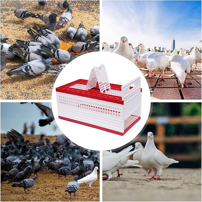 Foldable Pigeon Cage with Handle Portable Bird Travel Carrier Cage Transportation Pigeon Nest Box, 60 x31x26cm, Red