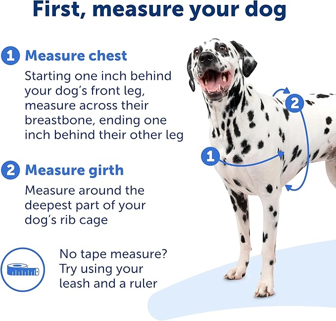 PetSafe Easy Walk Harness for Dogs - Pull-Free Walks - Patented Martingale Loop Design - Front Chest Leash Attachment - Comfort Straps - Breathable Harness Design - Small/Medium, Black/Silver