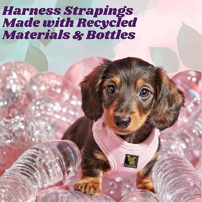 EcoBark Step in Dog Harness Reflective Soft Ultra Padded Mesh Dog Harnesses for XXS, XS, Small, and Medium Dogs Eco-Friendly Comfort Secure Halter No Pull Adjustable Pet Vest