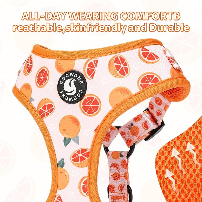 Dog Cat Harness and Leash Set, Puppia Soft Mesh Padded and Adjustable Puppy Vest Cute Dog Clothes Escape Proof Easy Walk Pet Accessories (Grapefruit, L (Neck 15.7"-21"; Chest 19.6"-28.3"))