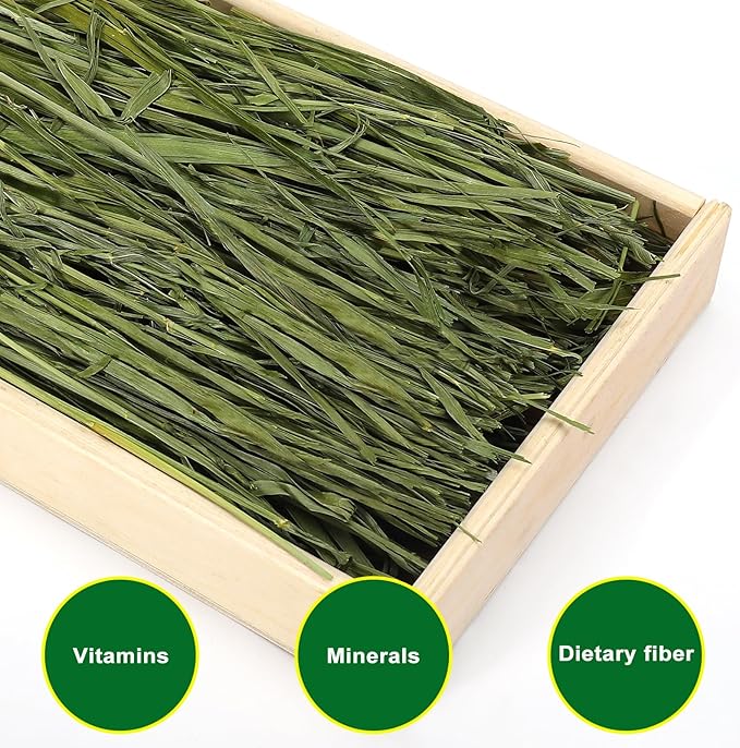 Premium Oat Hay for Pets - Dust Free Natural Green Fresh Pet Food Hay for Rabbits, Guinea Pigs, Chinchillas, Hamsters & Gerbils - 2.2lbs (2 packs of 1.1lbs）