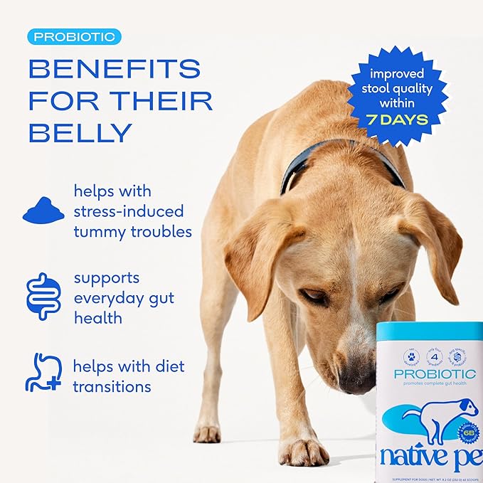 Native Pet Probiotics for Dogs – Dog Probiotic Powder for Gut & Digestive Health, Vet-Formulated 6B CFUs Dog-Specific Probiotic Strains, Supports Stool Quality & Diet Transitions – 120 Scoops