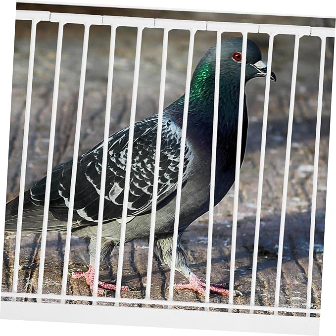Bird Cage Door for Pigeons Easy Access Entrance for Pigeon Loft Simple Design and Exit Door