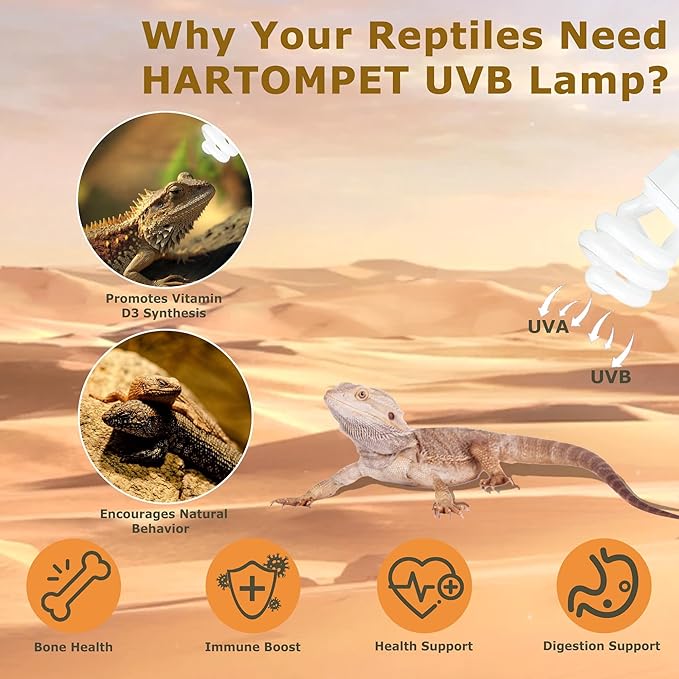 HARTOMPET UVB 10.0 Reptile Light 26W, Compact Fluorescent Coil Lamp for Desert Terrariums, Ideal for Tortoises, Iguanas & Other Sun-Loving Reptiles