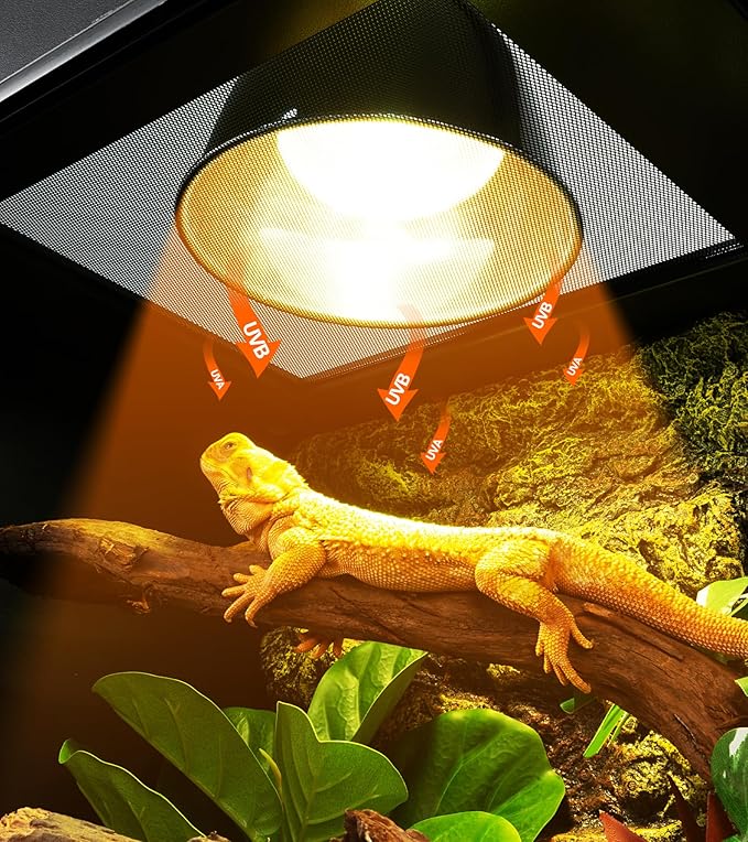 REPTI ZOO Lighting Combo Kit 160W Reptile Heat Lamp UVA UVB Bulbs for Reptiles and 8.5 Inch Reptile Light Fixture Dome Lamp Fixture Dome Light with Timer Tortoises/Snakes/Lizards/Bearded Dragons