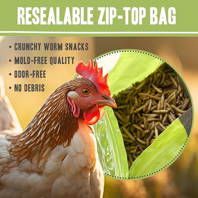 Premium Dried Black Soldier Fly Larvae for Chickens, High Protein Chicken Feed - All-Natural, Non-GMO Treat for Feather Growth and Immune Support - Ideal for Chickens, Ducks, and Quails - 5lb