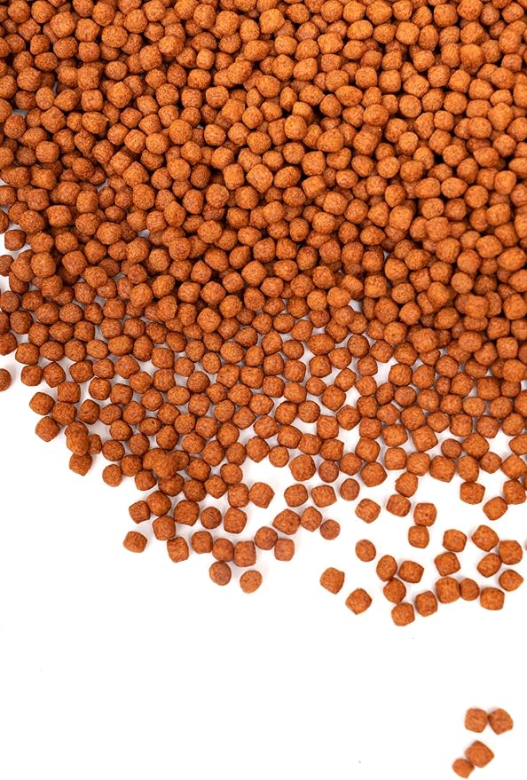 Aqua Master Prime Fish Food 10kg, 22-Pound (Large)