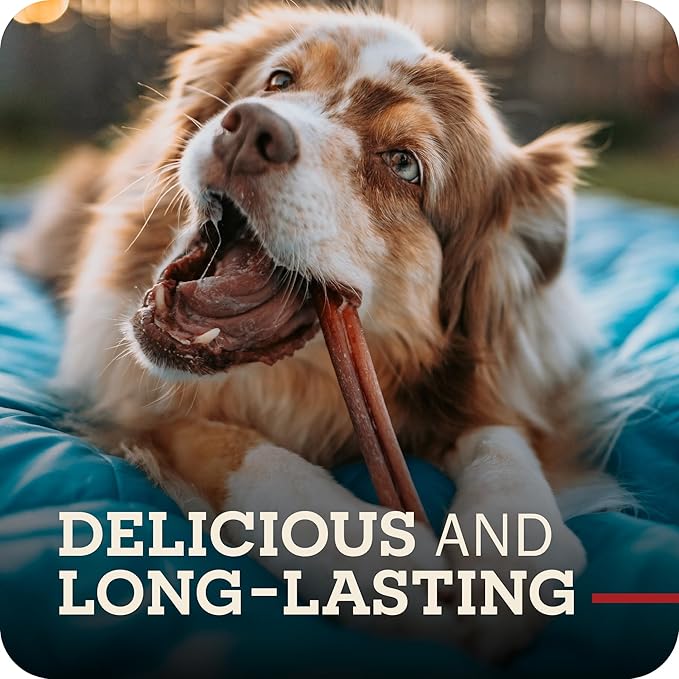Redbarn Pet Products 24" Bully Sticks for Dogs 25-Count