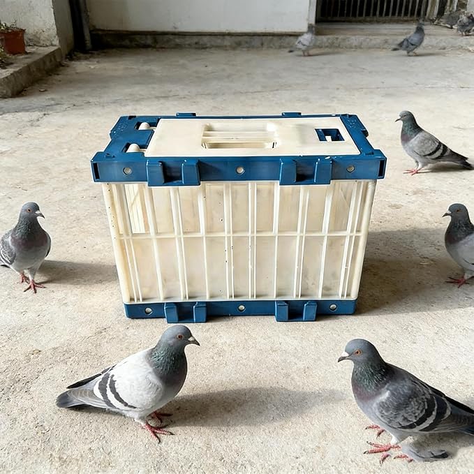 Travel Bird Cage, Breathable Portable Pigeon Carrier, Small Bird Transport Cage with Lock, Parakeet Parrot Training Release Box