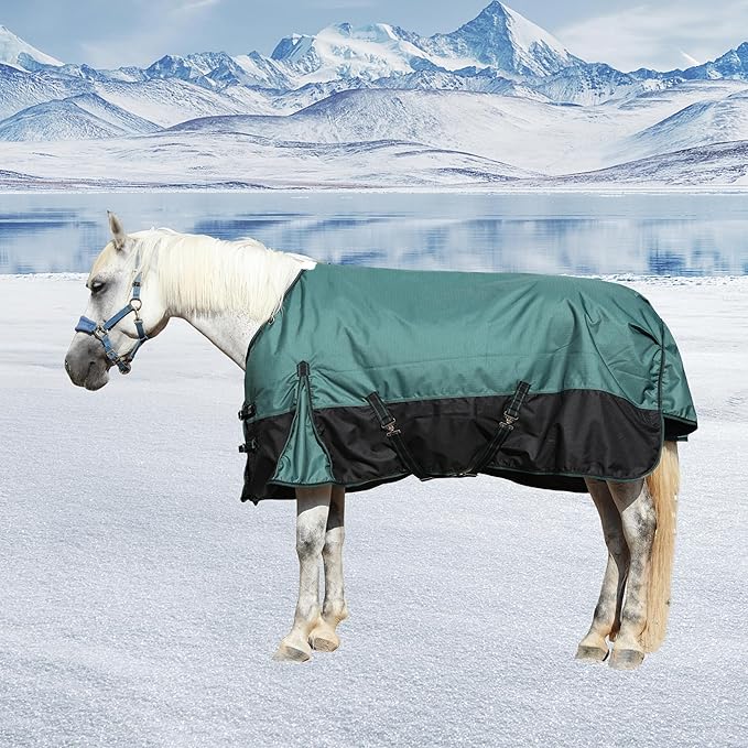 1200D Ripstop Waterproof Breathable Horse Blanket (200g Fill), Medium Weight Warm Winter Turnout, Thermal Protection for Cold & Snow Greenblack 72"