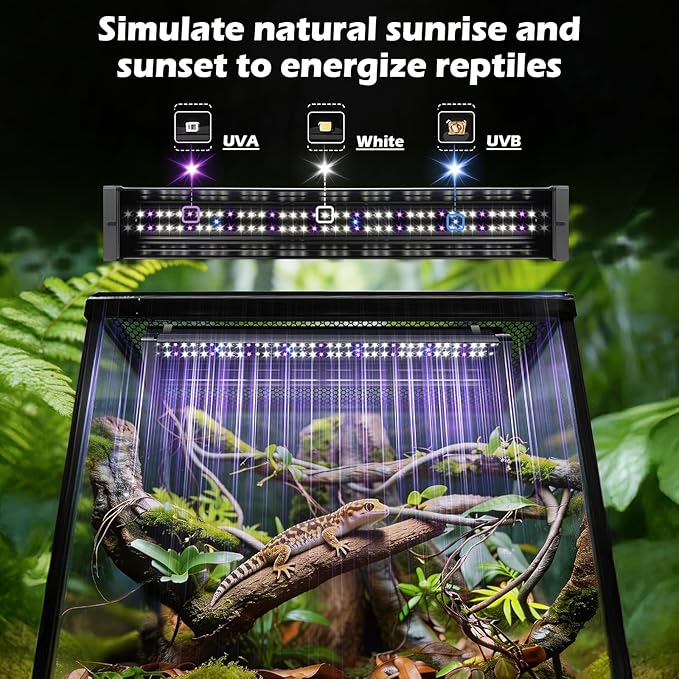 UVB Light for Reptiles 6W 9.8IN LED UVA UVB Terrarium Lamp with 4 Auto Modes for Ferguson Zones UVB Bulb with Timer for Bearded Dragon Gecko Turtle Lizard Snake Adjustable Brightness for Reptile Tank