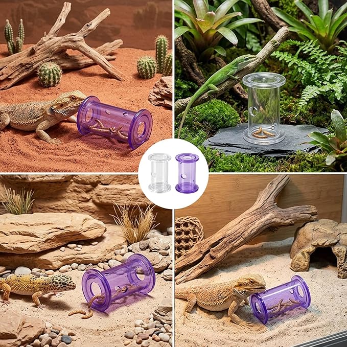 2Pcs Bearded Dragon Enrichment Tools, Bearded Dragon Accessories, Transparent Interactive Feeding Accessories for Reptile, for Beards Dragons and Other Small Reptile