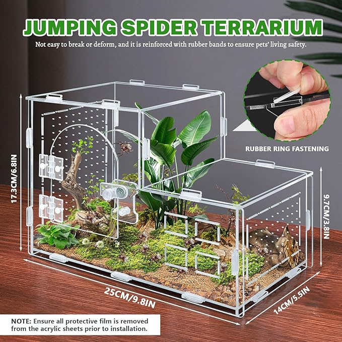 Acrylic Jumping Spider Enclosure, Clear Ventilated Spider Terrarium with Snap-on Front Door, 9.8×5.5×6.8in Reptile Habitat for Snails, Mantises, Small Tarantulas and Small Tree Frogs