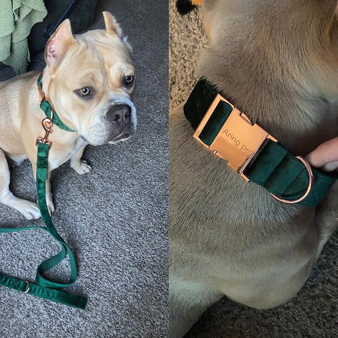 ARING PET Velvet Dog Collar and Leash Set, Soft Dog Collar and Leash, Adjustable Collars for Dogs