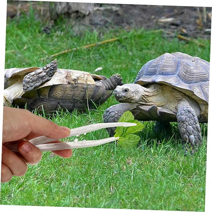 Sosoport 18cm Glow-in-The-Dark Reptile Feeding Tweezers Clips 2PCS Flexible PET Feeding Tool for Turtles Lizards Frogs and Other Reptiles