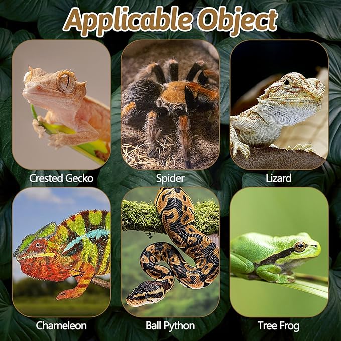 BNOSDM Reptile Cork Bark Substrate 2LB Lizard Bedding for Habitat Natural Flat Cork Wood Bulk Terrarium Reusable Bark Pieces for Chameleon, Ball Python, Crested Gecko, Spider, Tortoise, Tree Frog