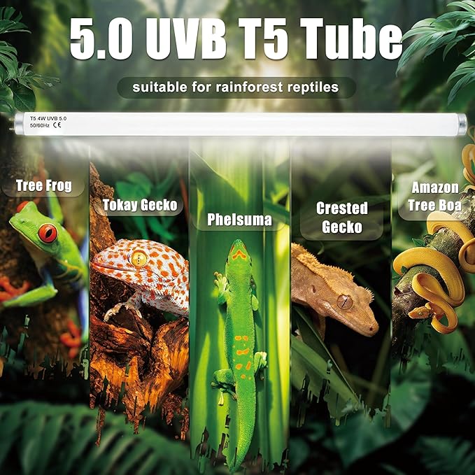 T5 HO UVB 5.0 Reptile Replacement Tube, 8W 12 in Linear Fluorescent Lamp, for Rainforest Reptiles