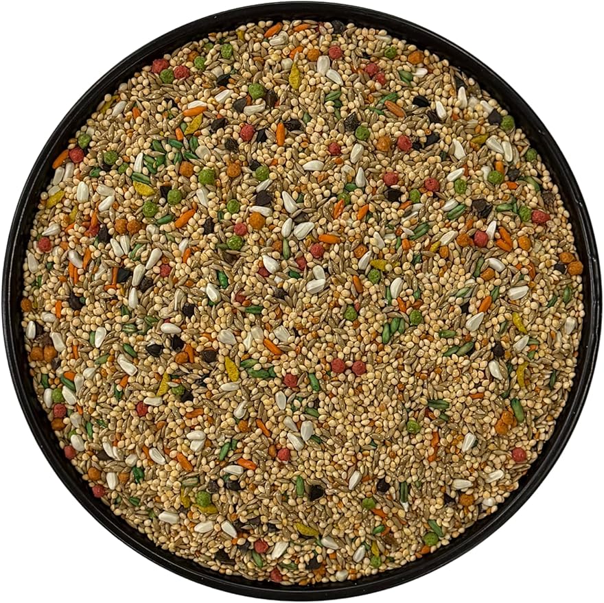 Omar's Cockatiel No Sunflower Blend 4 lb Bag, Premium Bird Seed for Cockatiels & Smaller Sized Birds