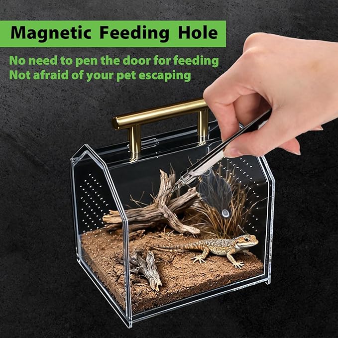Jumping Spider Enclosure, Large Insect Terrarium, Praying Mantis Habitat, Large Insect Terrarium,Reptile Enclosure,Spider Habitat Caterpillar Habitat (5.5‘’x4.7''x6.5'')