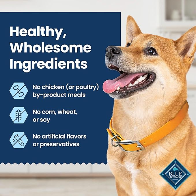 Blue Buffalo Medium Dental Chews for Dogs, Daily Dental Care Dog Treats Made in The USA with Natural Ingredients, Chicken & Spearmint (14 Count) (Pack of 4)